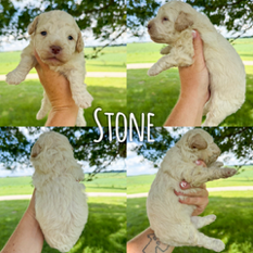 Stone 1